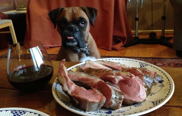 Why everything you know about wolf packs is wrong