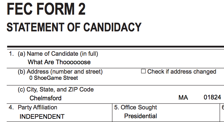 Vote for One of These Underdog Candidates This Election Day