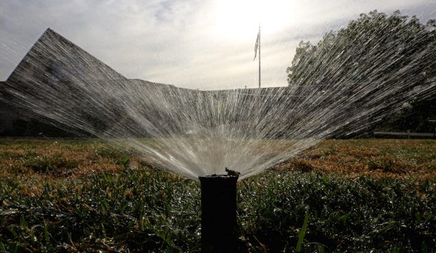 Finally! California Just Issued Mandatory State Water Restrictions