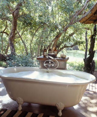 Who Doesn't Want to Live In This House With Elephants In the Garden?