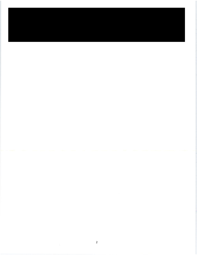 What Do You Think Is in These 73 Straight Pages of Fully Redacted Emails?
