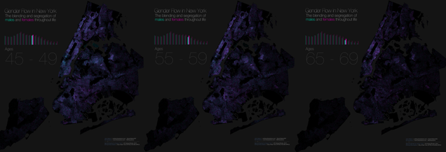 This map of gender segregation shows how New Yorkers live and die