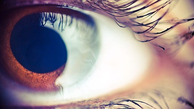You Can See Your Own White Blood Cells Flowing Through Your Eye!