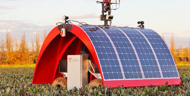 A Solar-Powered Ladybug That Might Just Save Global Agriculture