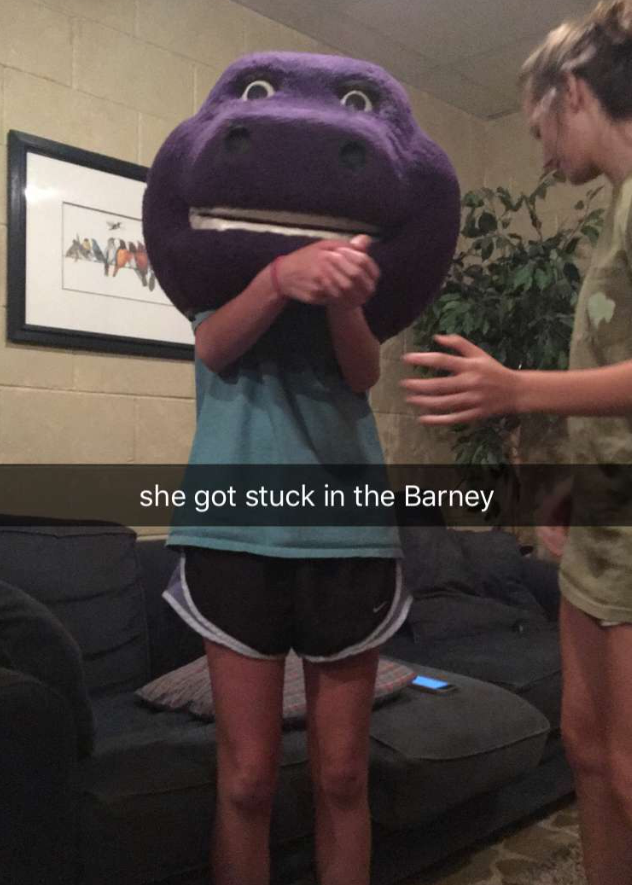 She Got Stuck in the Barney