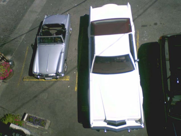 Shark And Minnow In Port Angeles