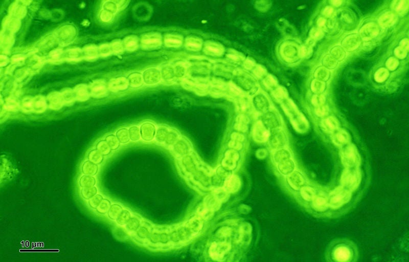 Our Atmosphere Is Leaking Oxygen and Scientists Don't Know Why