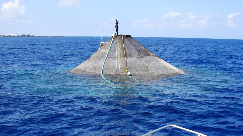 Farming Nemo: How Aquaculture Will Feed 9 Billion Hungry People