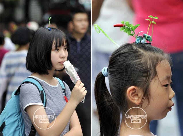 &Quot;Sprout Heads&Quot; Are A Trend In China