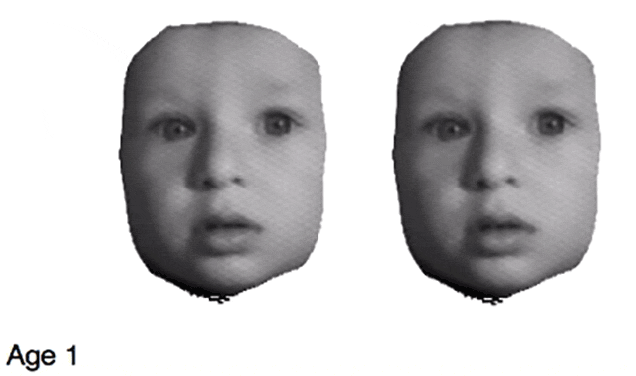 Perfectly Age Your Face Through 80 Years Based on a Single Photograph