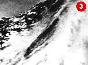 The Photo That Took Surfing Worldwide