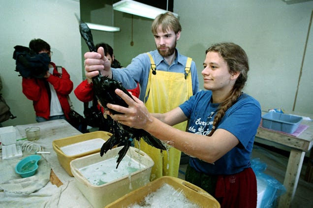 10 Haunting Photos From the Exxon Valdez Oil Spill Catastrophe