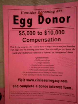 requirements to donate eggs in michigan