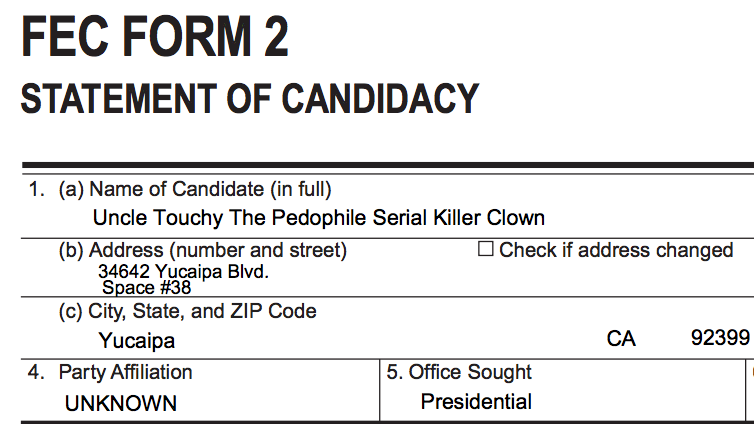 Vote for One of These Underdog Candidates This Election Day