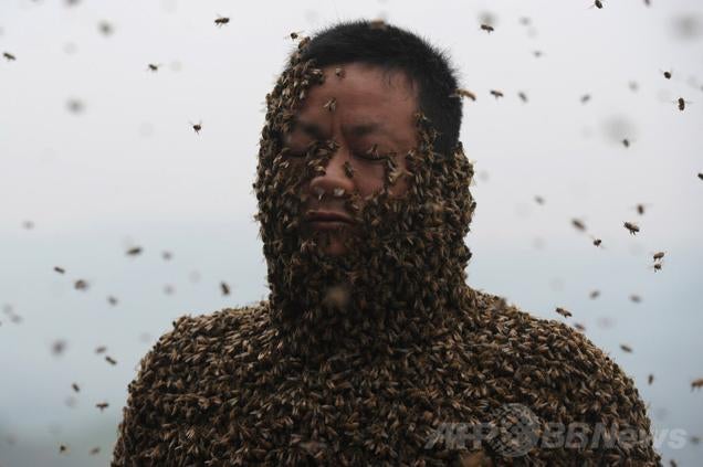 Covering Yourself with 460,000 Bees Looks Terrifying