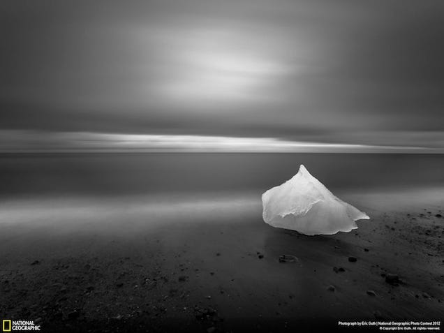 The winning images from Nat Geo's 2012 Photography Competition will blow you away