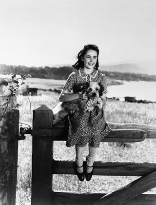Elizabeth Taylor's Life In Front Of The Camera
