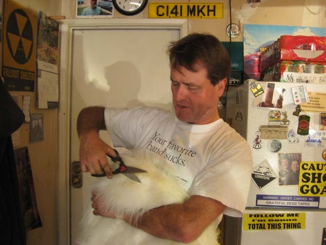 The Faster Farms Chickens Suit Up For Arse Freeze-A-Palooza LeMons Glory