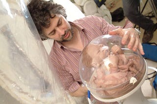 Flaming Lips Ready Bubble Baby Jesus For The Mars Nativity Scene