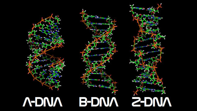 Ten Things You Probably Didn't Know About DNA