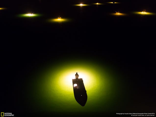 The best pictures from National Geographic's Photo Contest 2014