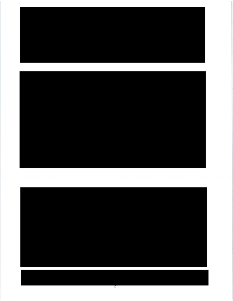 What Do You Think Is in These 73 Straight Pages of Fully Redacted Emails?