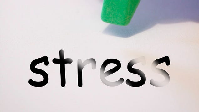 Top 10 Instant Stress Busters