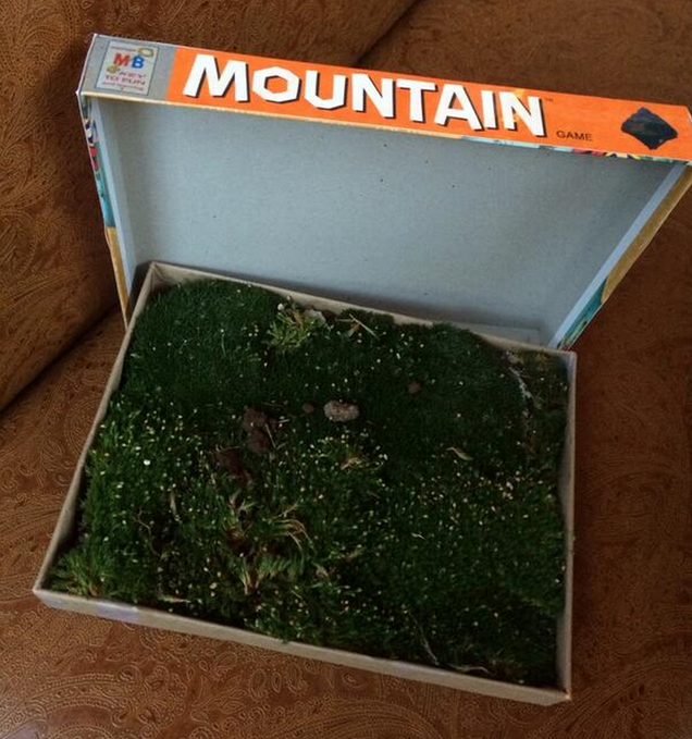 mountain-the-board-game