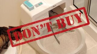 Hotdoll: The Sex Doll for Dogs