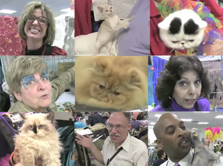 Attack Of The Cat People: On The Scene At The CFA-IAMS Cat Championship