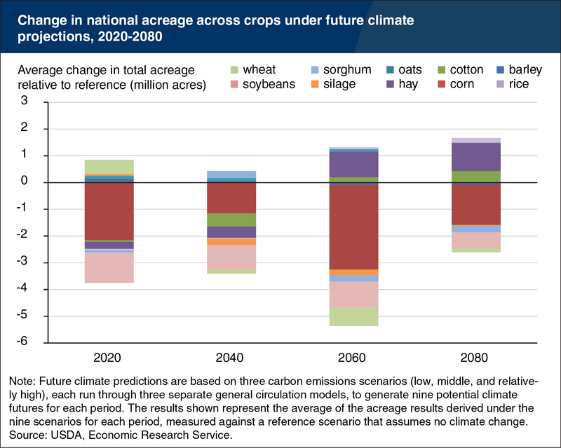 The Crop That Will Skyrocket Most This Century Isn't Really a Food at All