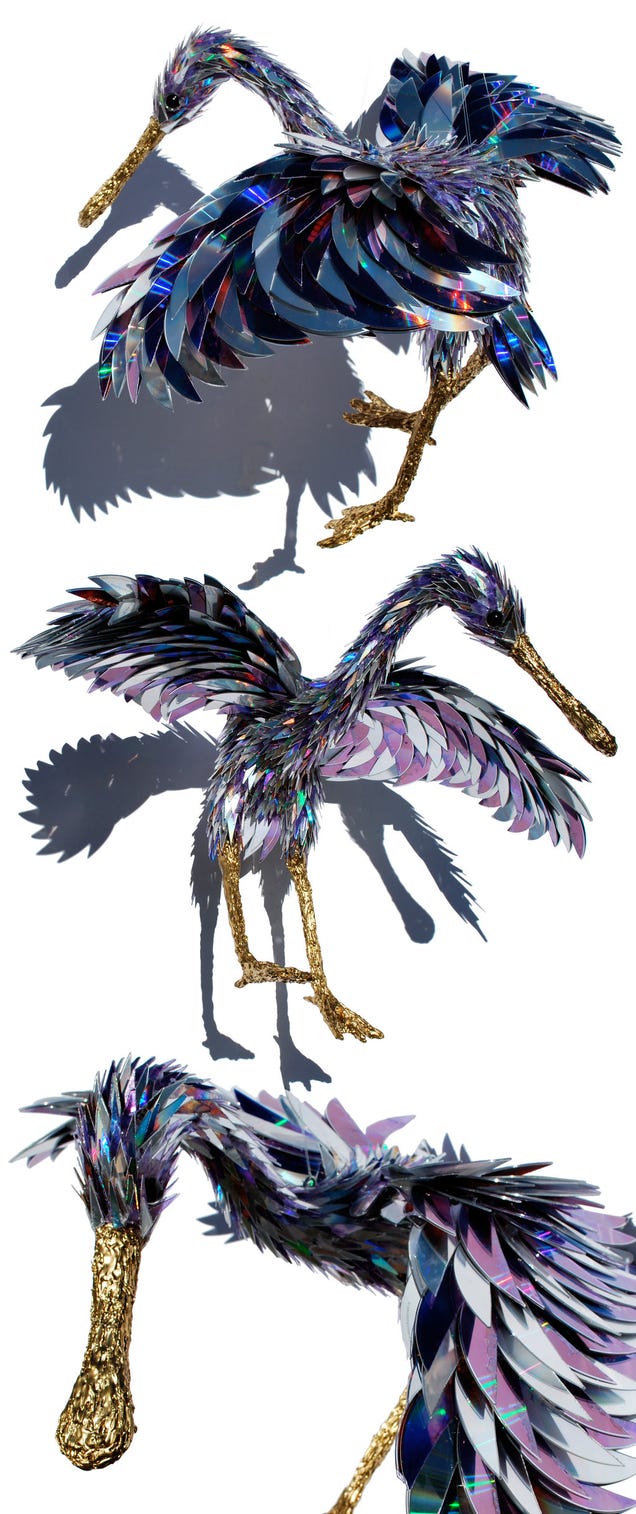 What if birds had shattered CDs instead of feathers?