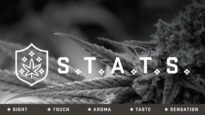 Everything You Need to Know About Medical Marijuana