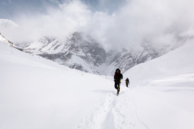 Parahawking: An Actual Sport That Mixes Paragliding And GIANT BIRDS
