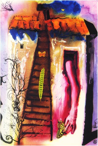 What did Salvador Dalí's Alice in Wonderland look like?