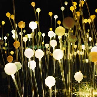 Fiber Optic Sculpture Transforms Field into a Luminous Alien Landscape
