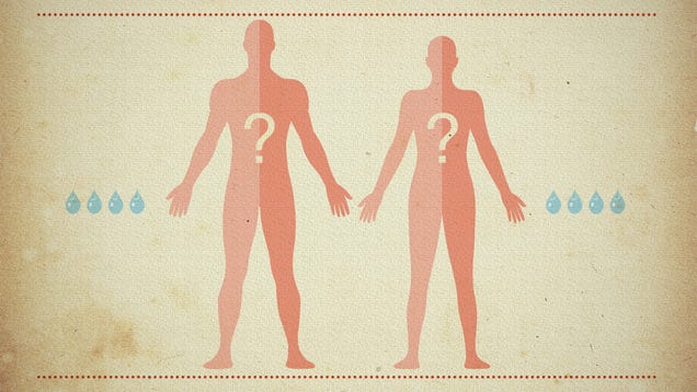 What Happens in Your Body During a "Cleanse" or "Detox"