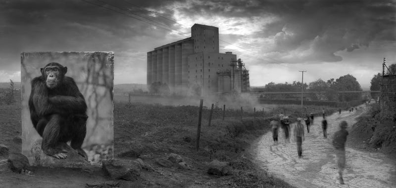 Harrowing Photographs Depict East Africa's Dystopian Future
