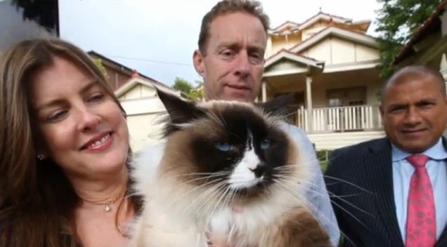 Heartless Couple Sells Home, Throws in Son's Cat for an Extra $140,000