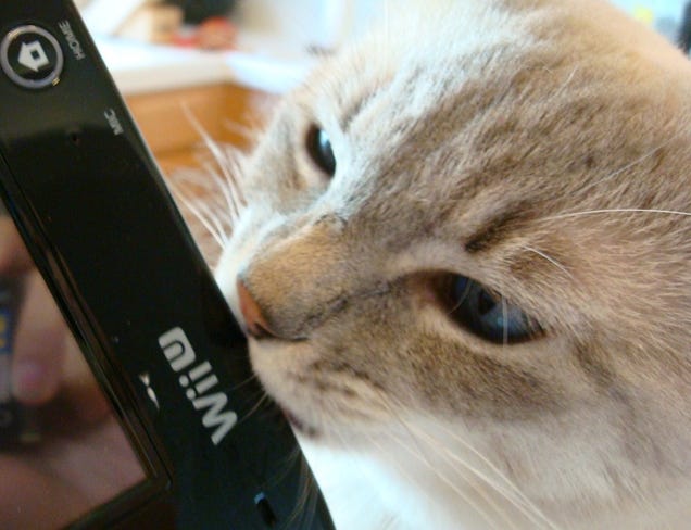 Step Aside, Jessica Chobot Licking A PSP. There's A New Scandalous Picture, And It Involves The Wii U.