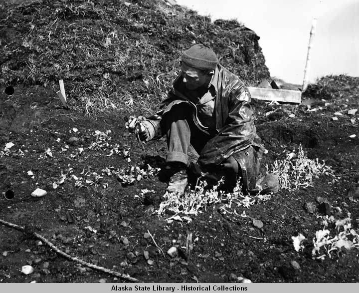 The Time the U.S. Invaded a Japanese Submarine Base... in Alaska?