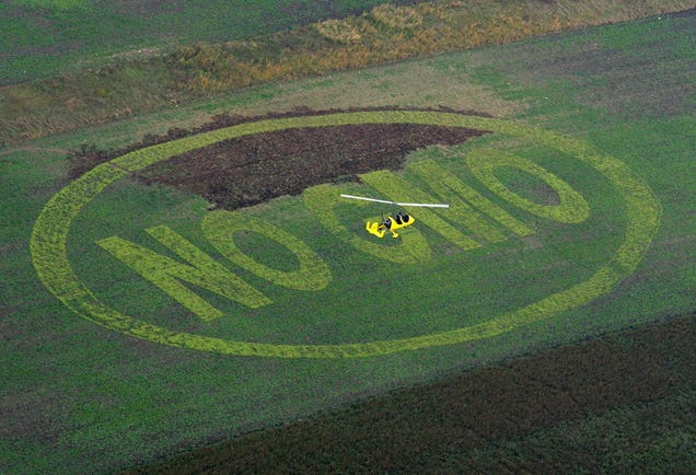 A Federal Judge Has Struck Down An Anti-GMO Law In Hawaii