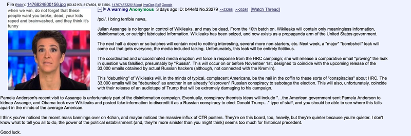 The Internet's Best Conspiracy Theories About Julian Assange’s Meltdown