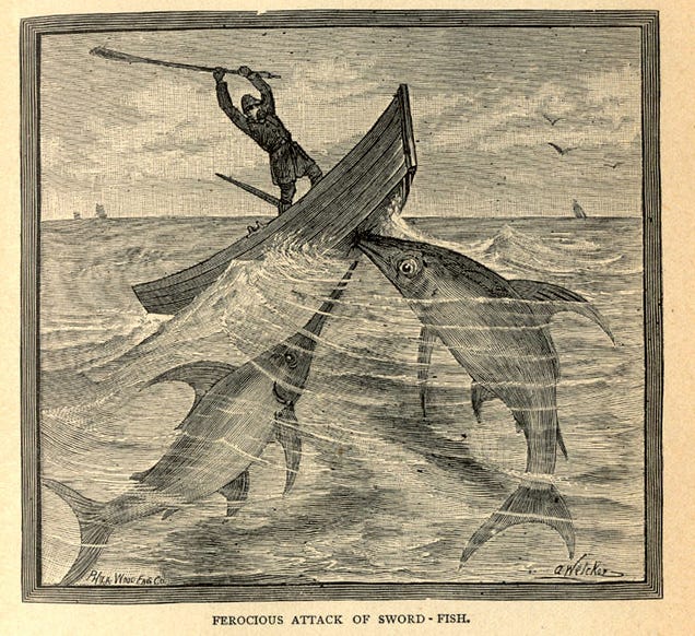 This gruesome 1889 biology book outlined the many ways animals will kill us