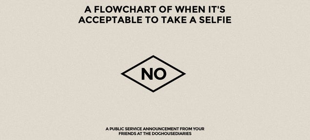 A Simple Flowchart to Work Out If You Should Take a Selfie
