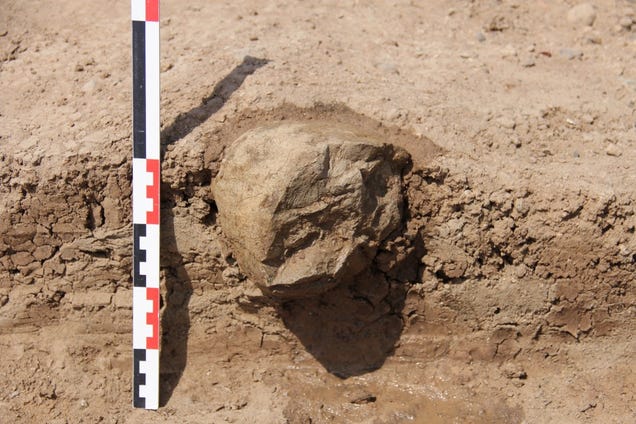 the-world-s-oldest-stone-tools-were-not-made-by-humans-gizmodo-uk