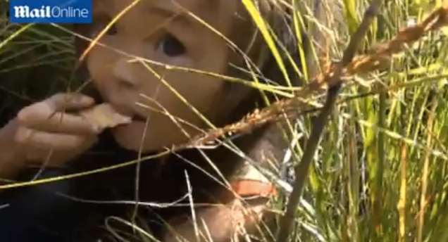 Puppy Saves Three-Year-Old Girl Who Was Lost in Siberia for 11 Days