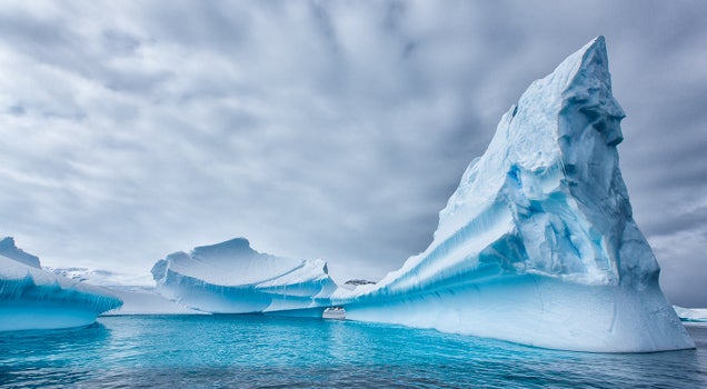 Antarctic ice looks so tempting as summer temperatures soar