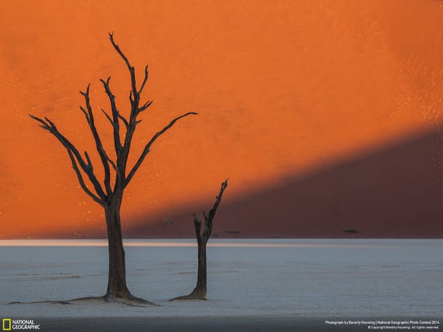 The best pictures from National Geographic's Photo Contest 2014