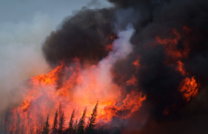 It's Time to Adapt to Megafires